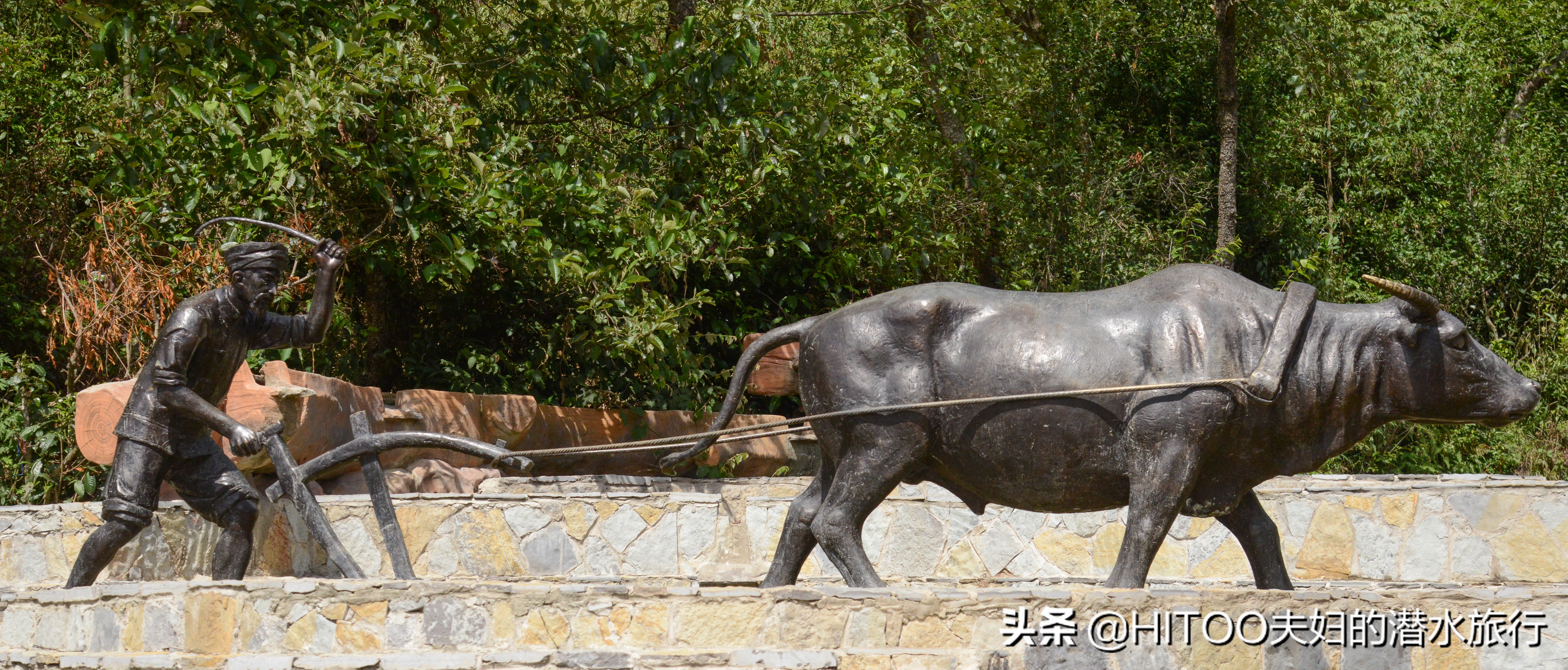 元阳梯田自驾游路线攻略,不花钱看元阳梯田自驾攻略