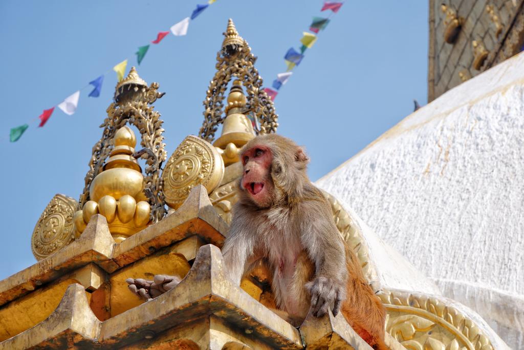 坐公交出国,坐公交可以环游中国么