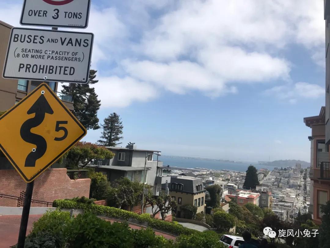 加州沿海1号公路自驾游散装系列（一）：阳光北加的金山依旧