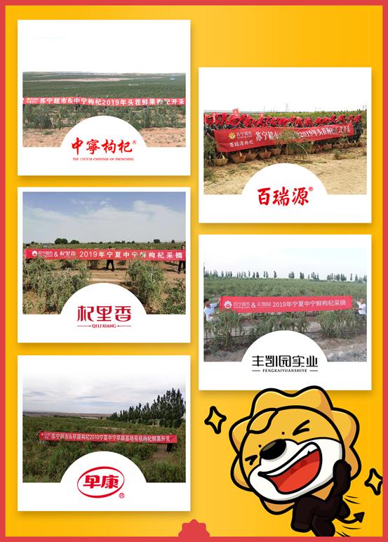 宁夏头茬红枸杞,宁夏头茬枸杞原浆官方旗舰店