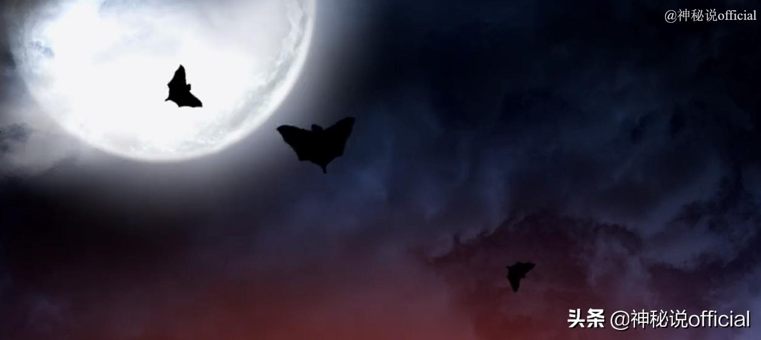 印度血雨是真实事件吗,印度天降血雨的原因