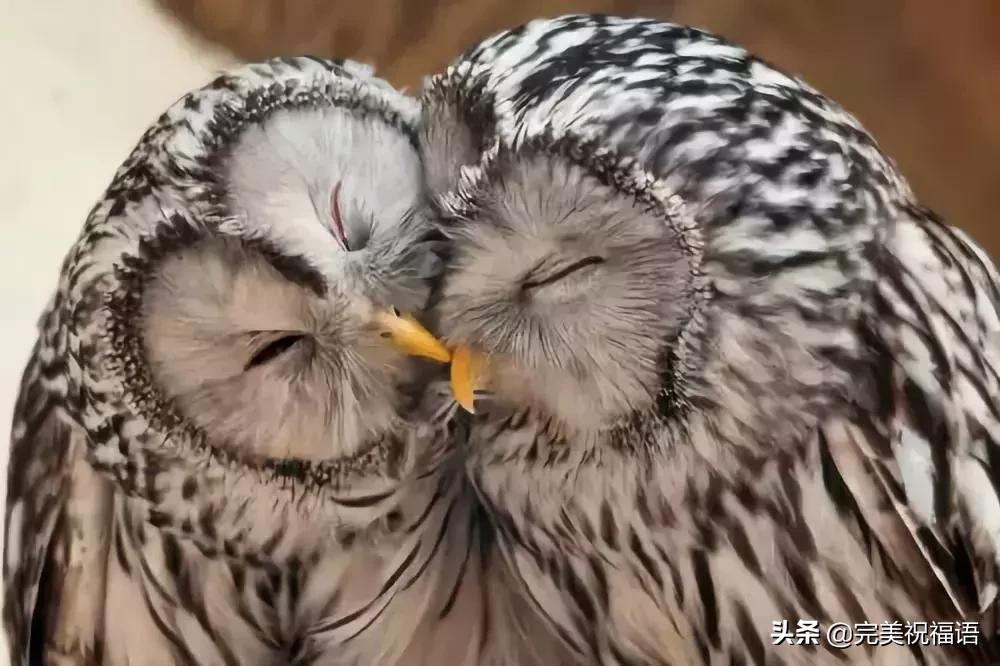 今天2.1，2月第1天，谁编的，太好笑了，给群里乐一乐~