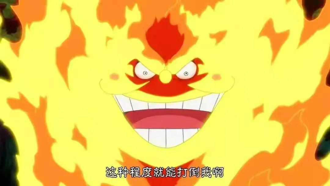 海贼王机械甲,海贼王里特殊的武器