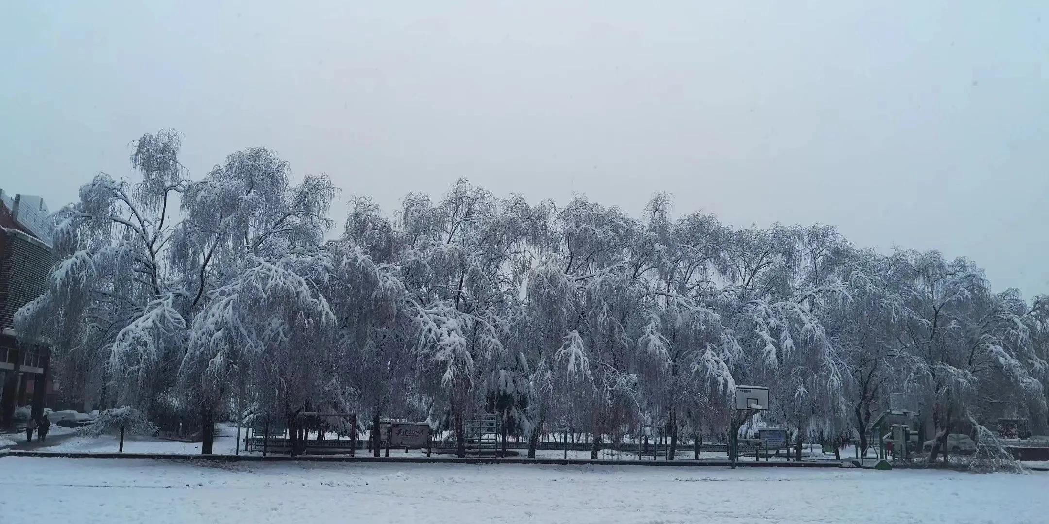 支教苦吗,支教到底苦不苦