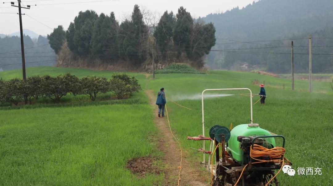 疫情防控和农机春耕两不误,抗疫春耕两不误安全保电到田间