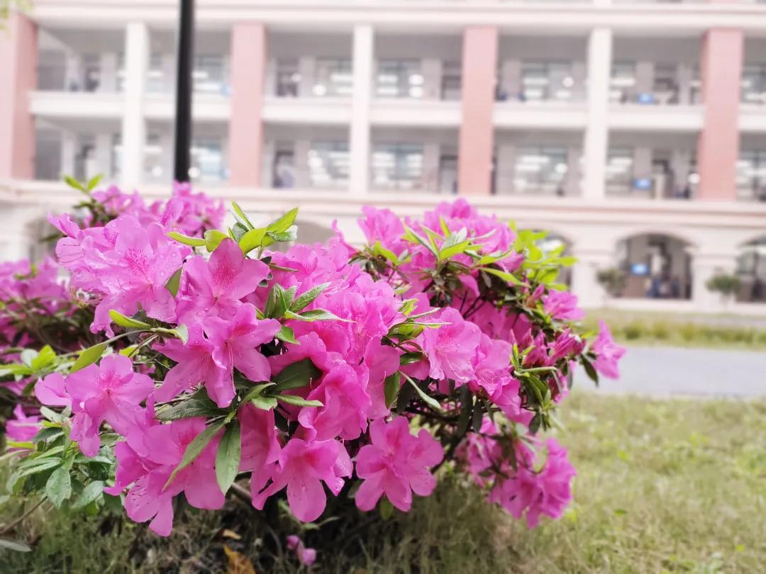 望城区的美景,望城的美景有哪些