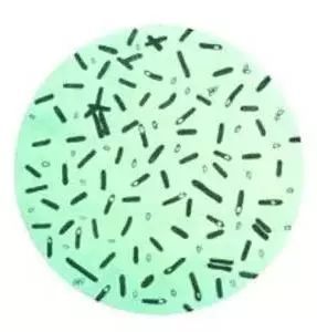 抗皱纹抗老小妙招,30岁后的面部抗老思路