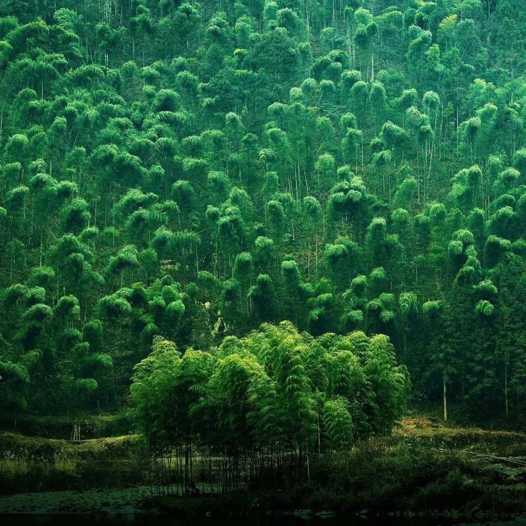 一去梵净,便懂了最美中国风