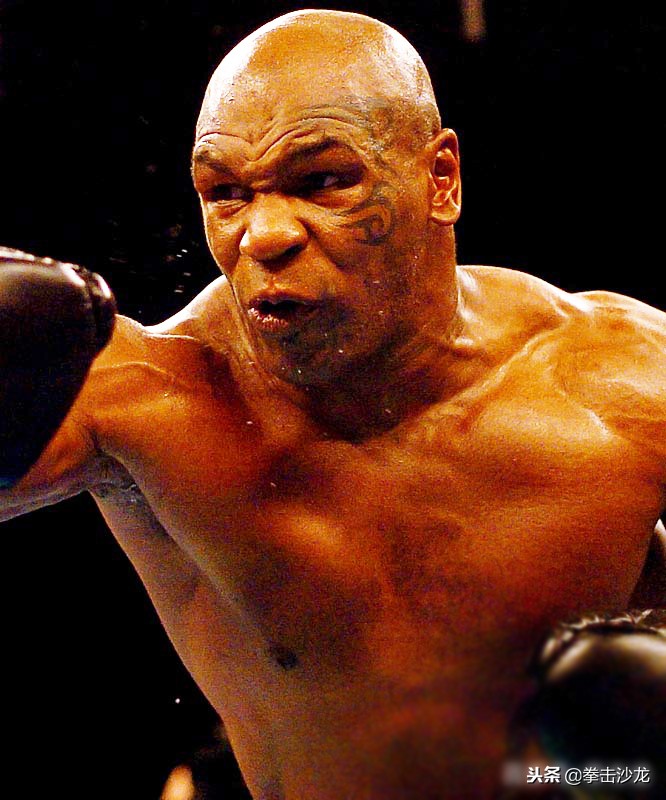 戴维斯评价泰森,黑犀牛埃迪思内