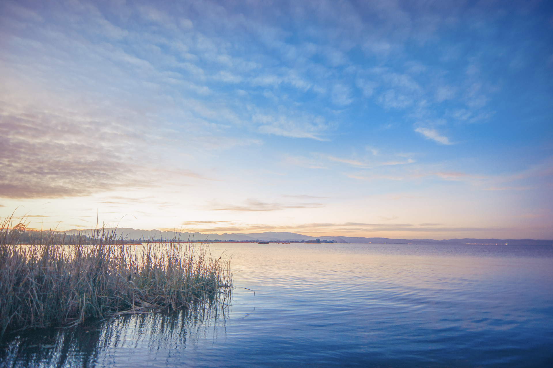 在男人眼里非常有魅力的女人面相,其实男人都喜欢真正有魅力的女人