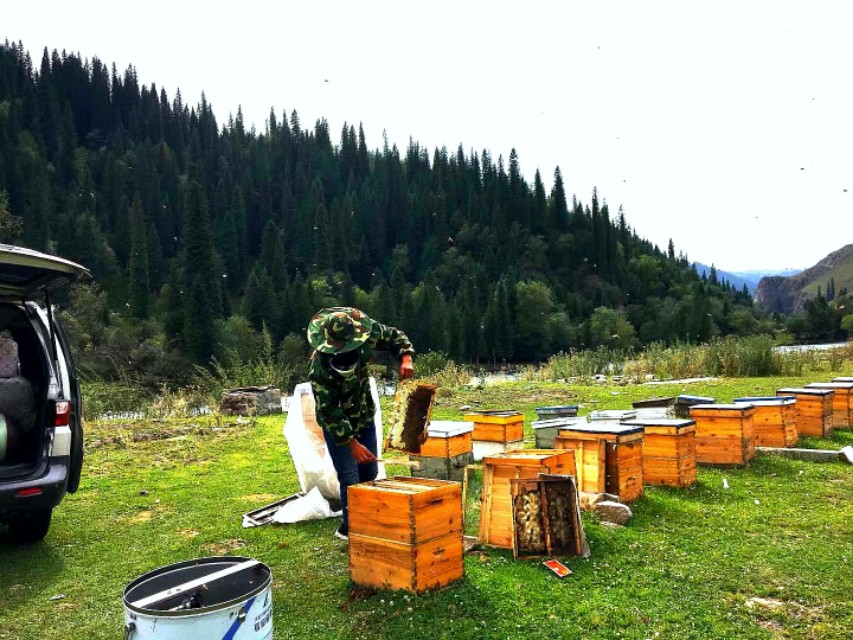 独库公路遇老乡卖蜂蜜，买上千元是假的，这年头儿老乡还能相信吗