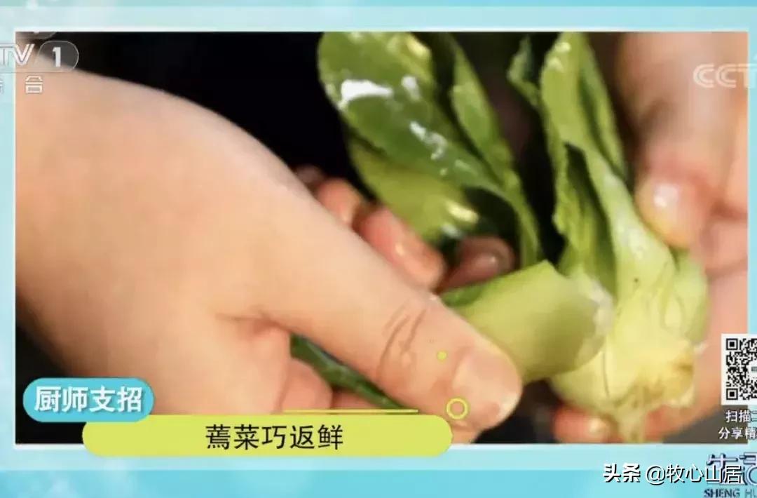 手作丨蔬菜蔫了怎么办？教你一招让蔬菜和新买的一样