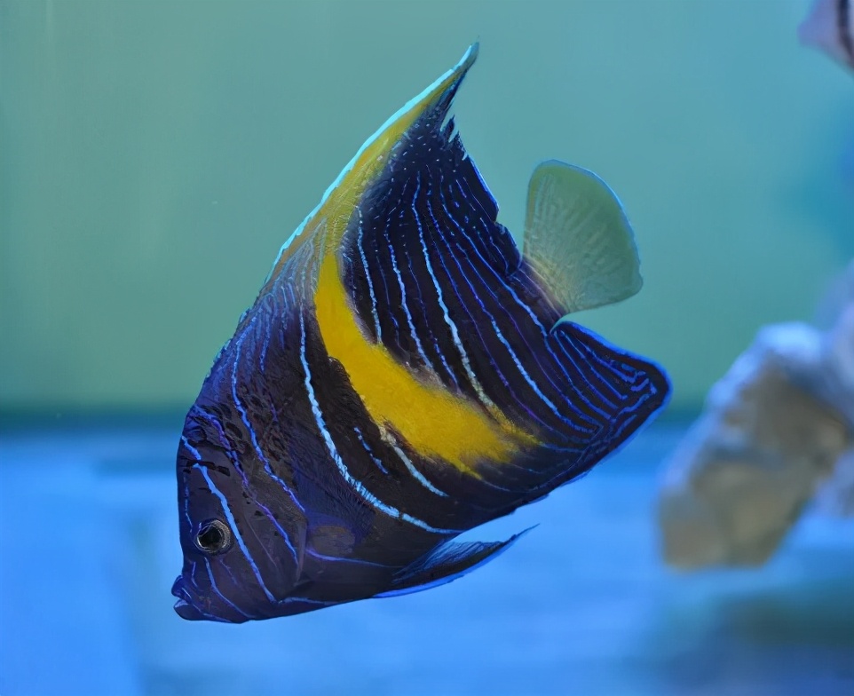 迷惑！258元只能参观高铁，香港本地游推出这些新玩法