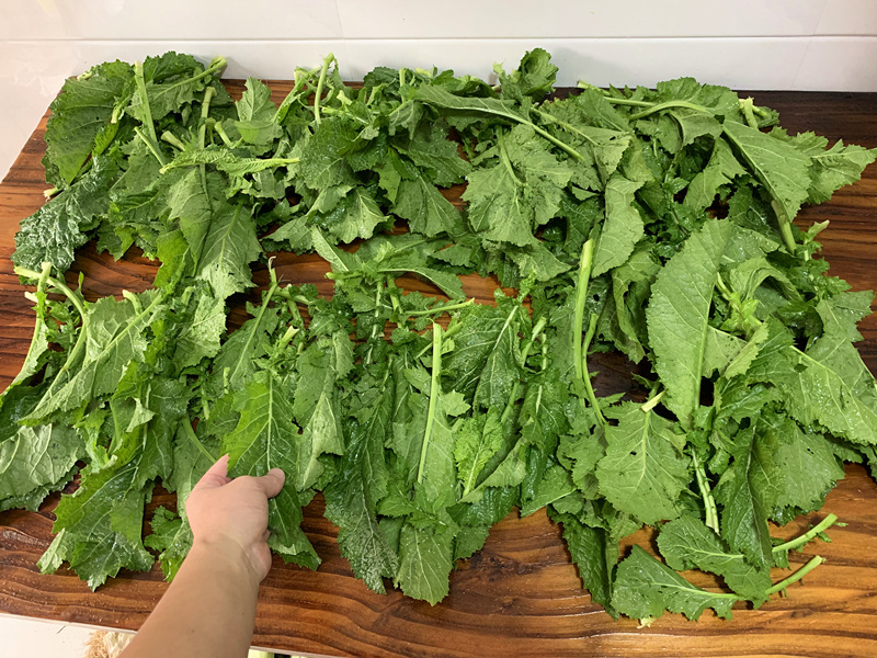 腌芥菜怎么腌又脆又嫩,腌芥菜需要加米酒吗