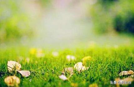 2019年3月26日财运,2020年4月28日黄历