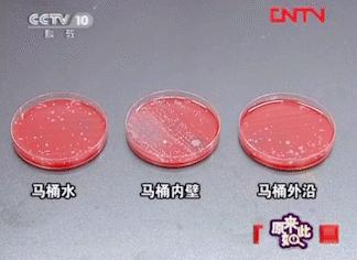 马桶清洁凝胶,马桶清洁神剂日本