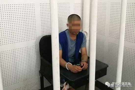 网警断掉一大型色情网站“狼王”竟是“忠犬型”好好先生