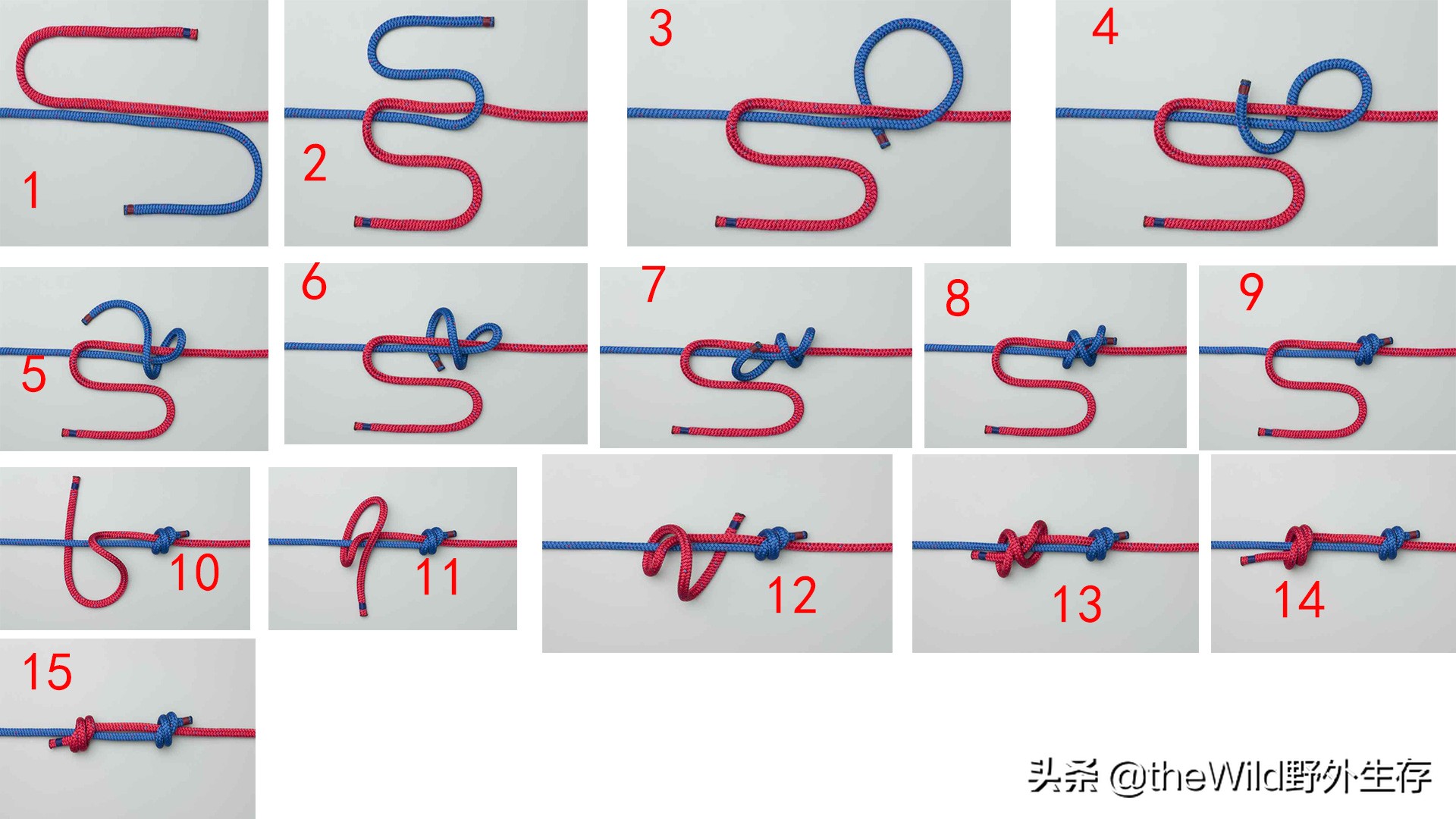 户外作业学会这几种绳结就够用了,户外安全绳结打法视频