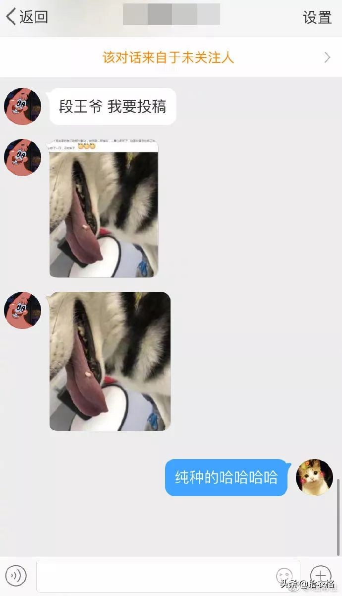 “女友网购了一件紧身裙子，这也太紧了吧！谁能顶得住啊…”