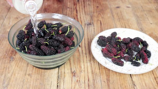 桑葚泡酒的正宗做法大全,桑葚泡酒的简单做法