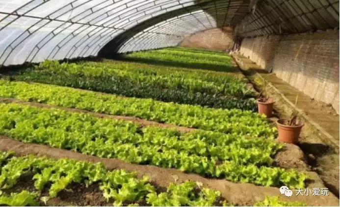 通州副中心哪些地段好,北京通州有山有水遛娃好去处