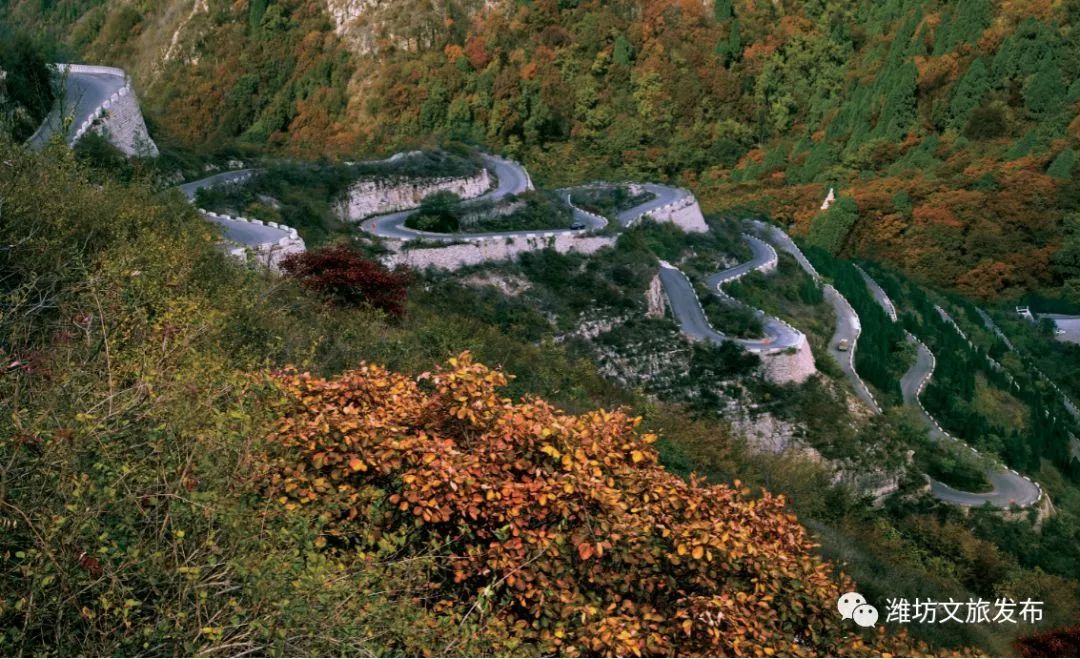 来淄博要做的十件事,来潍坊需要什么