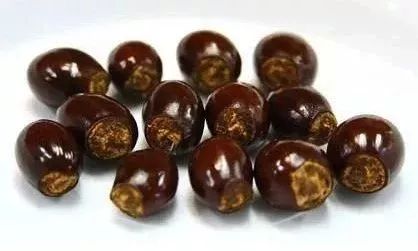 玉米棒子插水里，7天冒出小森林