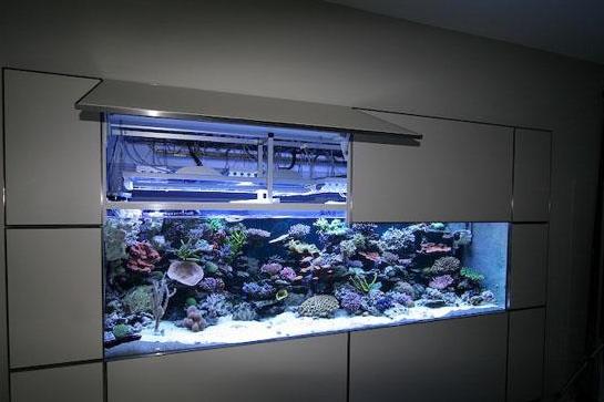 如何挑选一个适合自己的毛绒玩具,如何挑选一个适合自己的跑步机