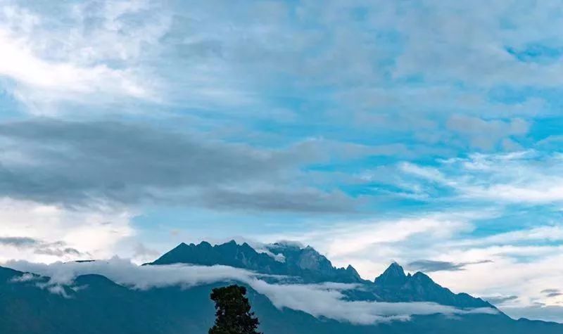 吾莫青庐剧照,吾莫青庐下午茶