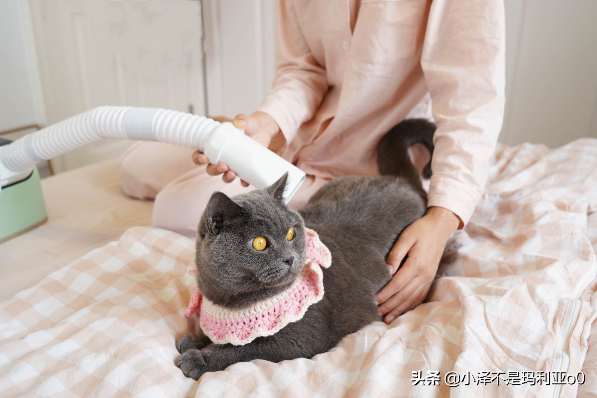 秋冬好用小家电,秋冬必备小家电