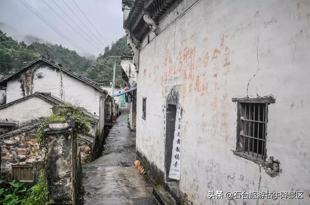 石台县牯牛降直播间,牯牛降宣传视频