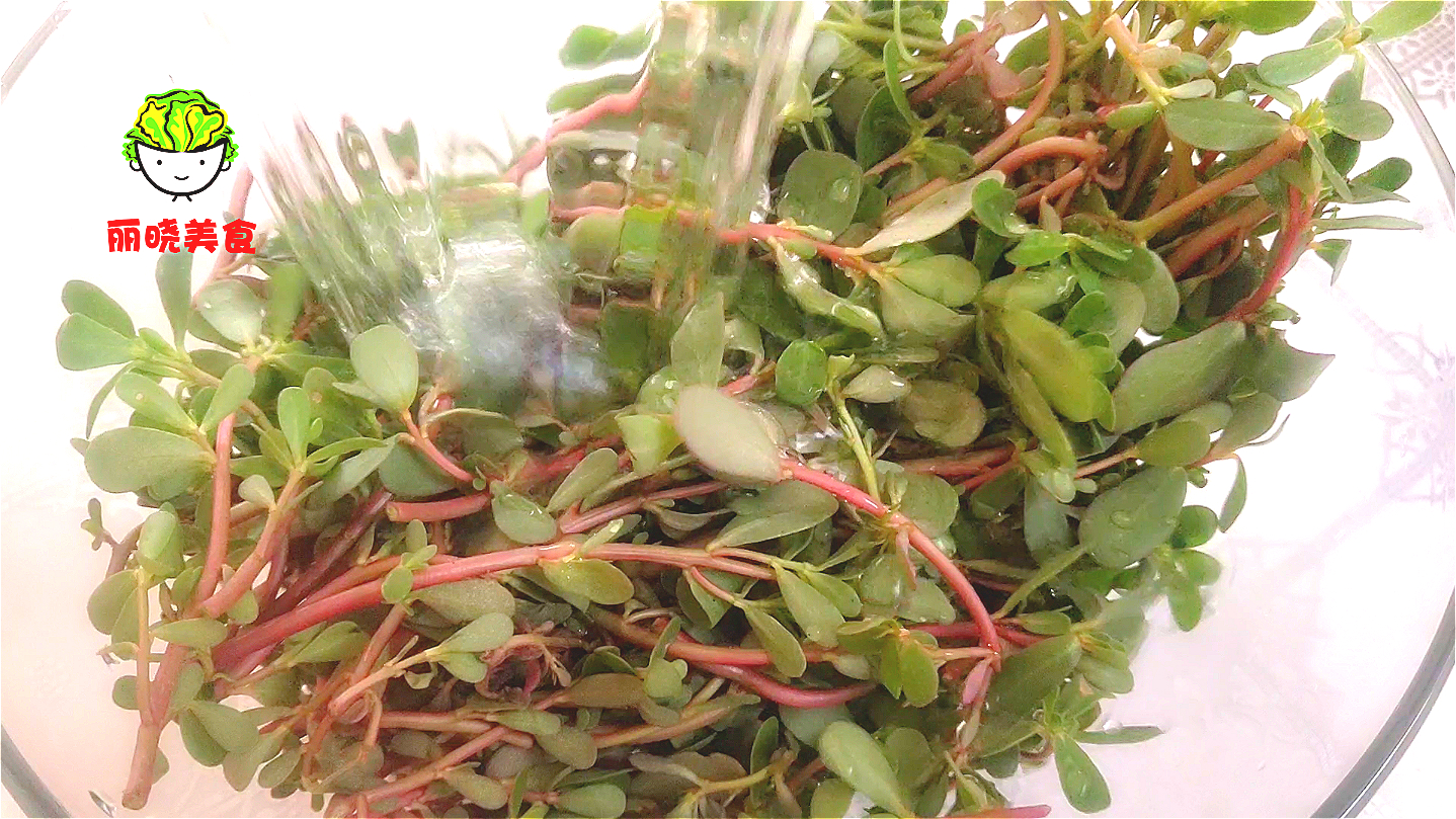 马齿苋怎么样做面食才最好吃,马齿苋和面粉一起烙饼