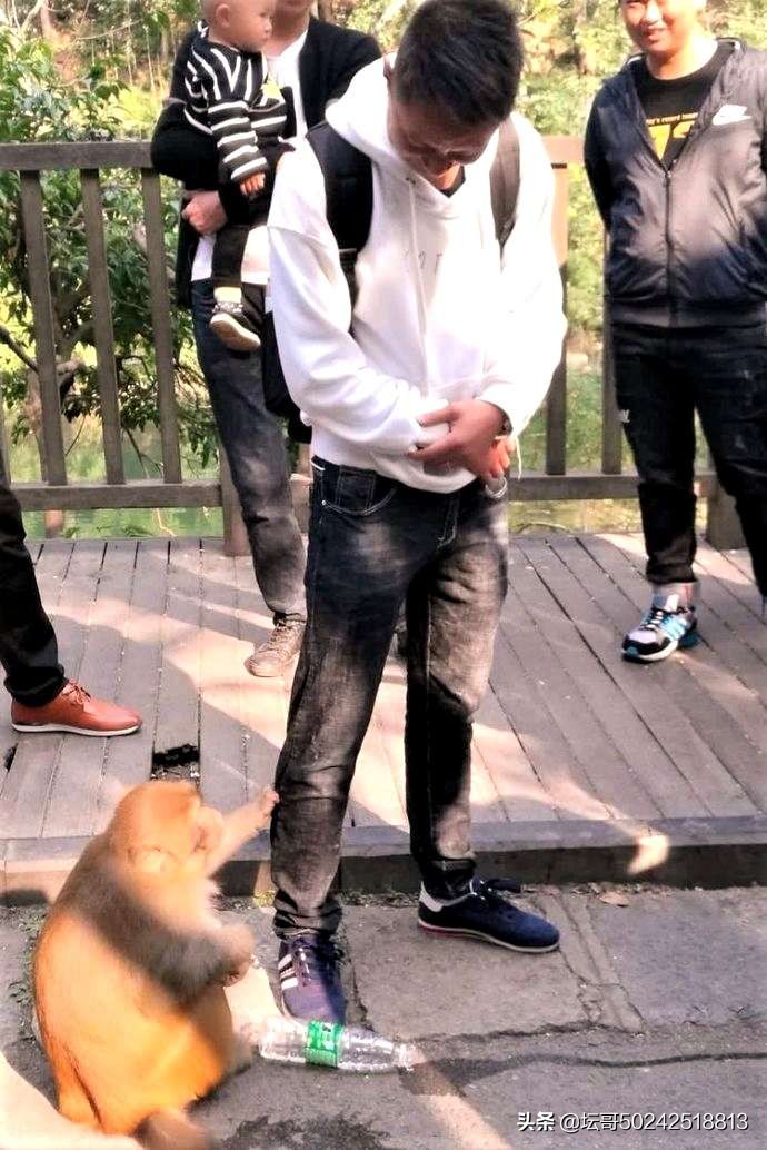 贵州黔灵山门票是多少,黔灵山景区门票价目表