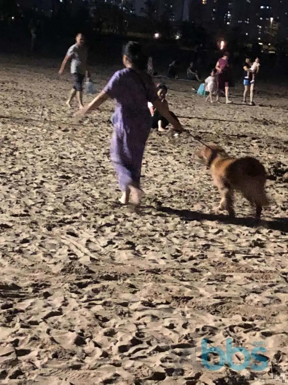 养犬不规范伤人,养犬不规范扰民伤和气