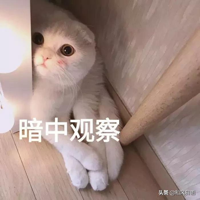 muji无印良品返税是真的吗,日本无印良品召回瓶装水