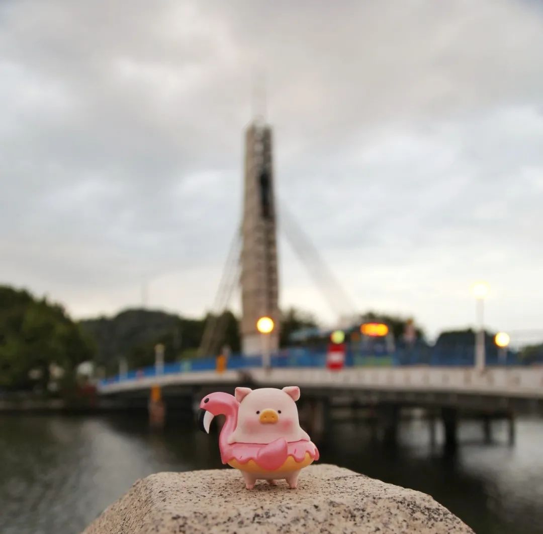 中山多娇，石岐美妙，传统早茶，粥粉面饭，糖水小食，要不要？