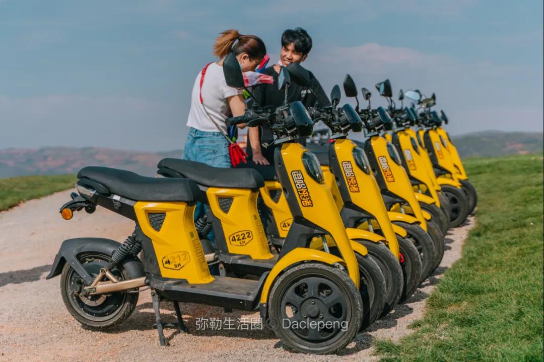 云南最美小镇图片,云南太平湖森林公园花海