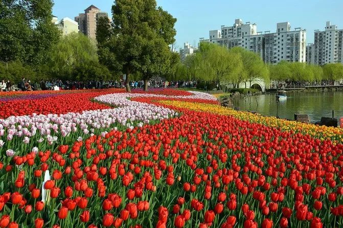 在上海适合周末放松休闲的好去处,推荐几个上海休闲好去处吧