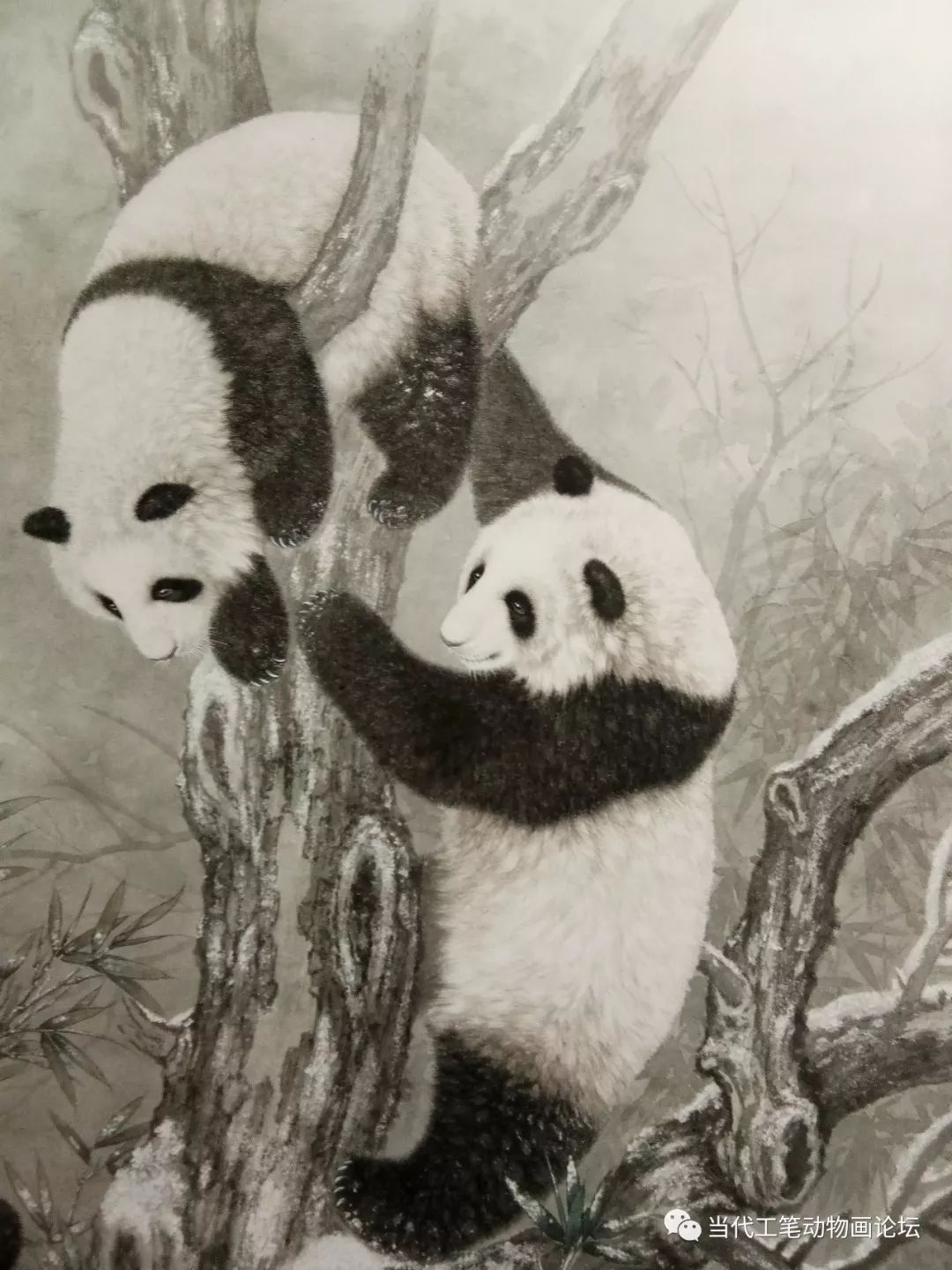 免费学工笔画,最全的画虎技法收集