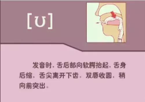 48个英语音标正确读法视频教学,英语48个音标正确发音顺口溜表
