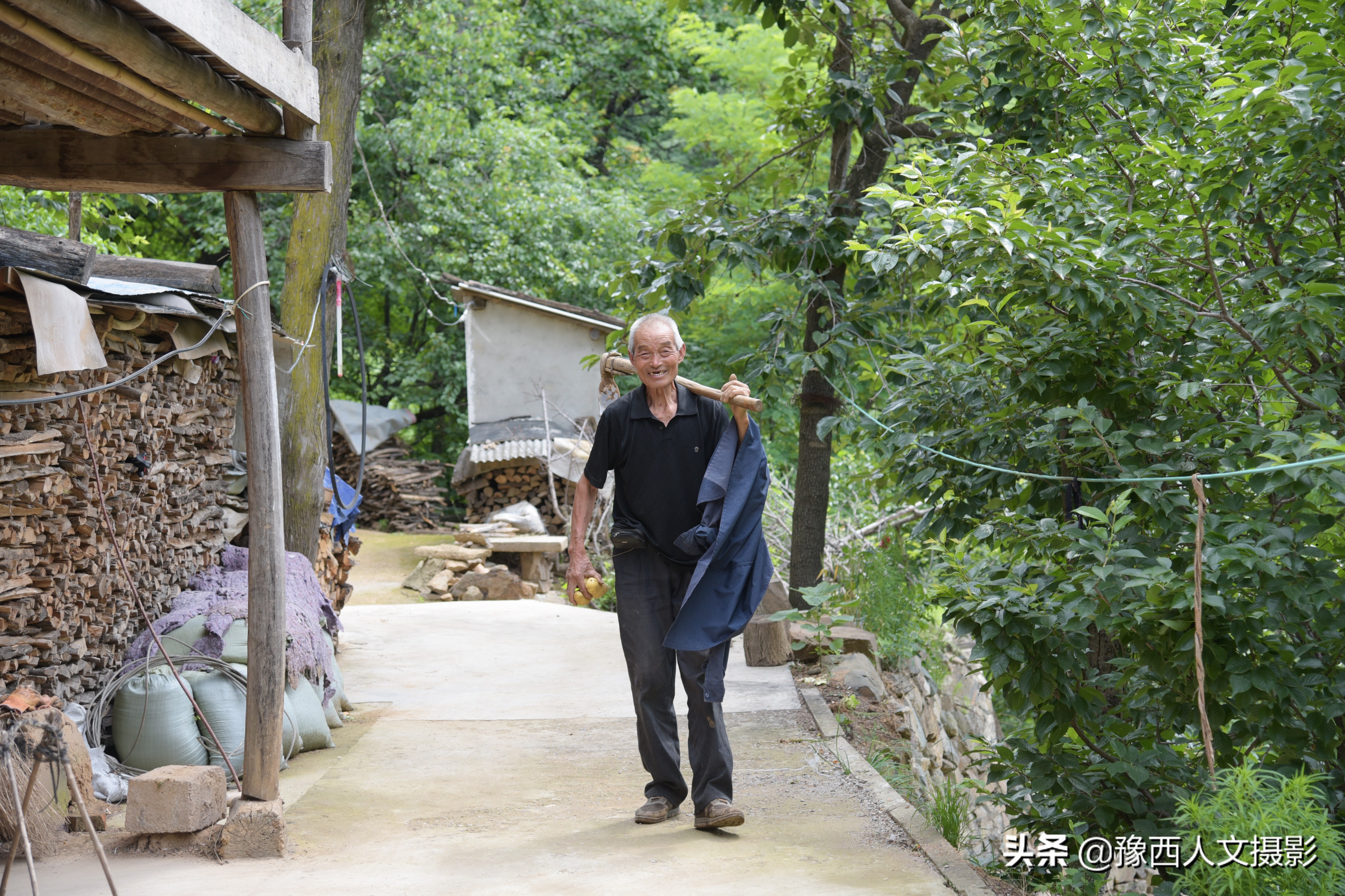 山里大叔4年前发现商机，庄稼地改种暴利药材，结果收购价格跳崖