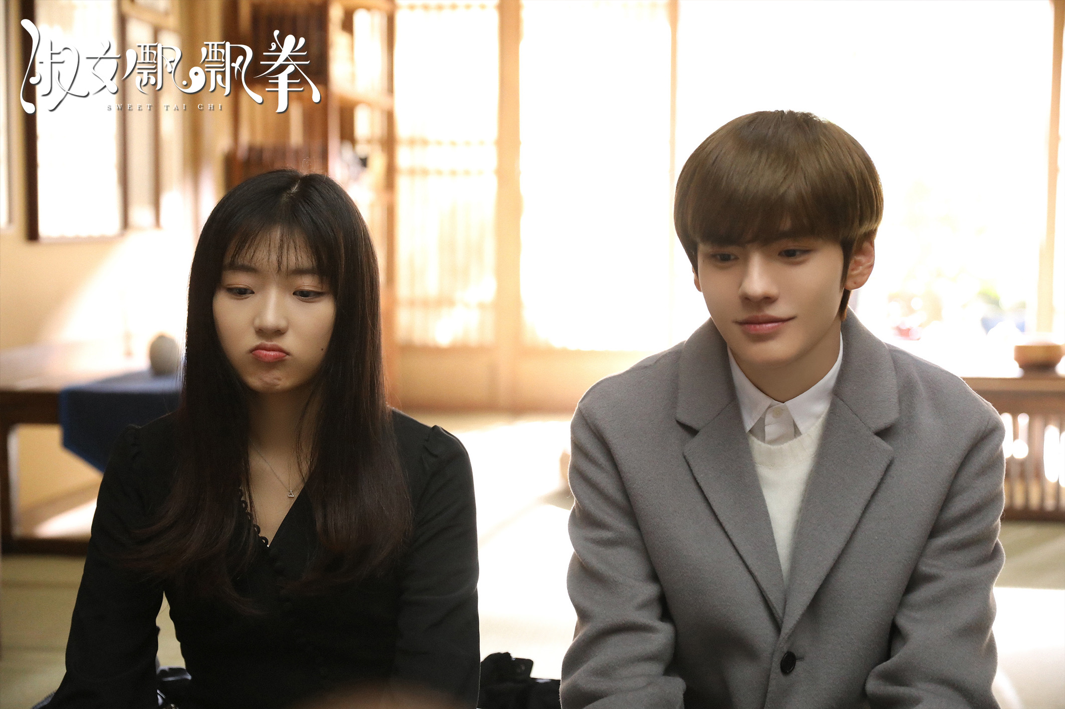 《淑女飘飘拳》今日会员收官毕雯珺孙千微风CP获封暖冬甜剧