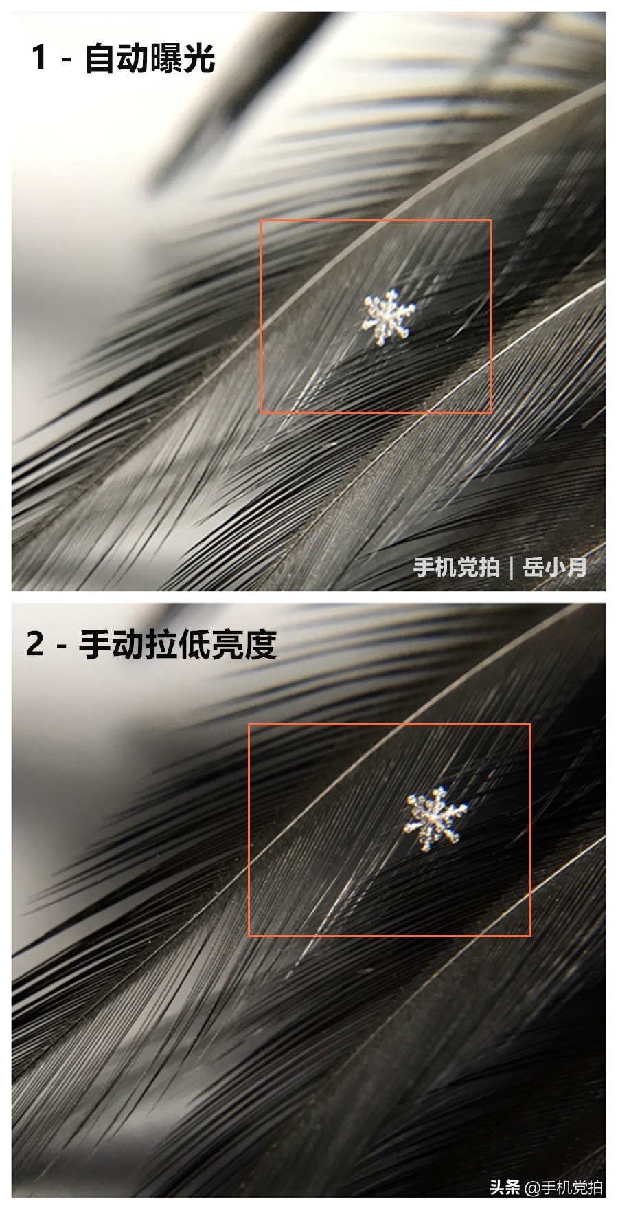 手机照片放大后模糊怎么变清晰,苹果手机拍照模糊怎样才能变清晰