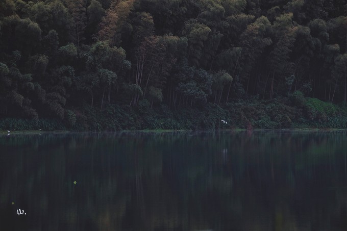 心中有桃花源何处都是山水间,心中若有桃花源何处是水云间