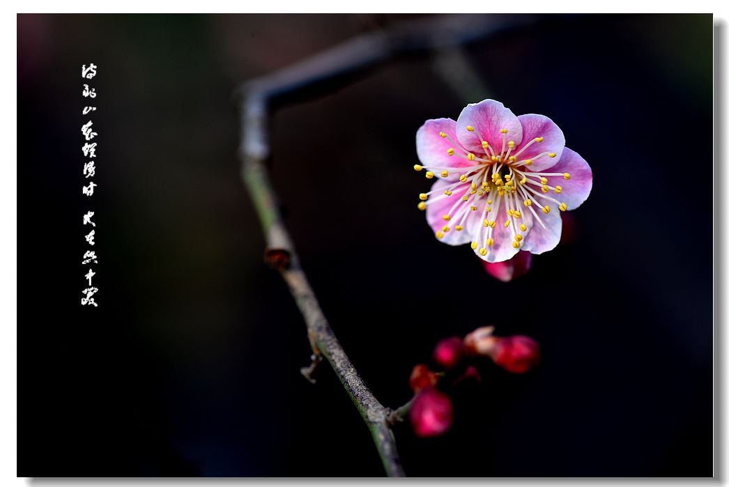 这句经典诗句，可谓是老师的形象写照，写在贺卡再合适不过了