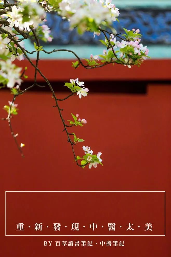 思考中醫|一切治不好的病，都是经络被掐断的结果！收藏