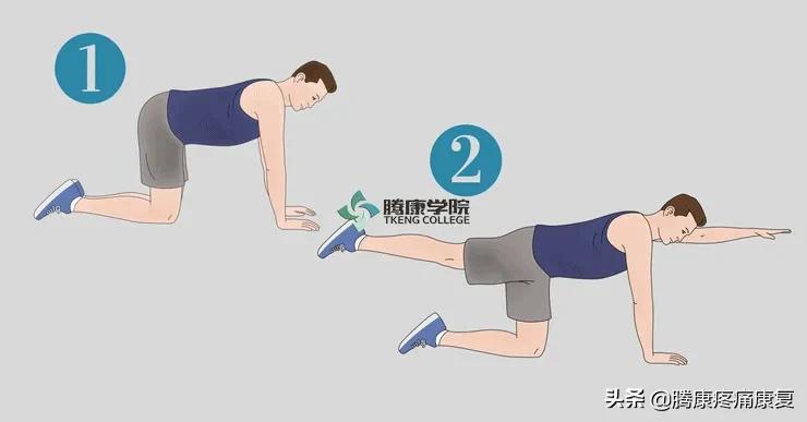 腰椎间盘突出的12组锻炼动作,腰椎间盘4-5节突出压迫神经怎么办