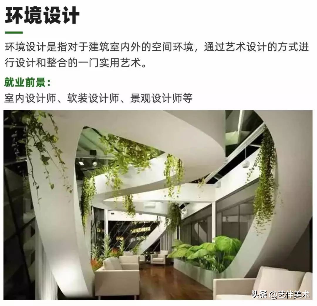 栾树画室官网,栾树画室怎么样