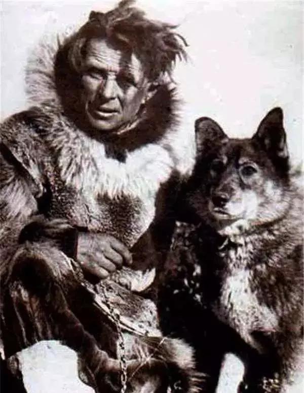 拉雪橇救小镇的哈士奇电影,哈士奇从狗肉馆救出来的二哈