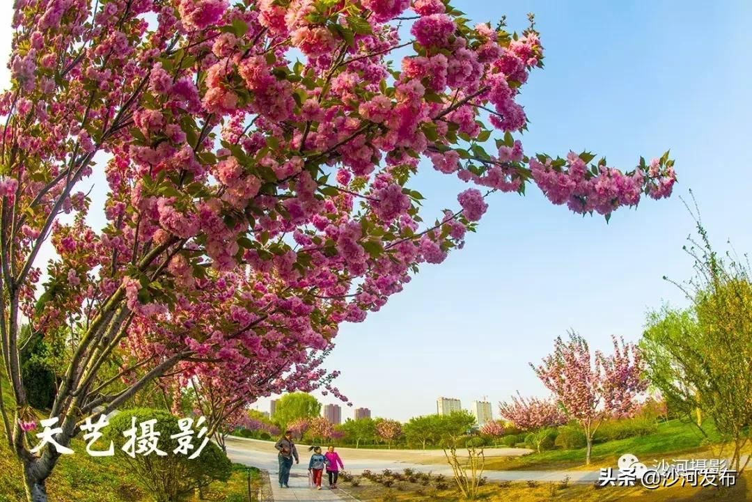 【我与祖国共成长】沙河：壮丽七十载奋进新时代（城建篇）